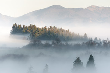 landscape covered in mist - 242495669