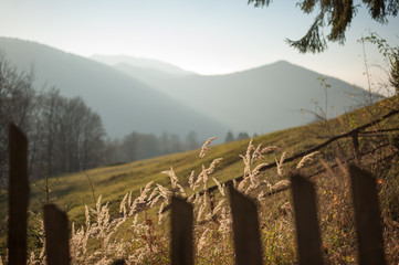 fence in the mountains - 242495851