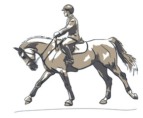 Fototapeta premium Sketch of a show jumping rider cantering on ahorse.