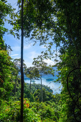 Fototapeta premium Cheow Lan Lake jungle landscape, Khao Sok, Thailand