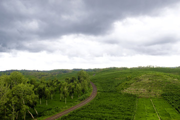 Landscape Gunung bagus, Wonosari, Yogyakarta, Indonesia