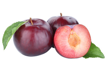 Pflaumen Pflaume blau frische Früchte Frucht Obst Herbst Freisteller freigestellt isoliert