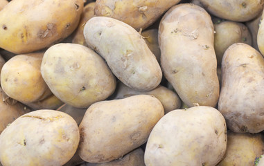 Fresh organic potato stand out among many large background potatoes in the market. Heap of potato...
