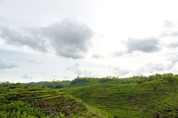 Landscape Gunung bagus, Wonosari, Yogyakarta, Indonesia