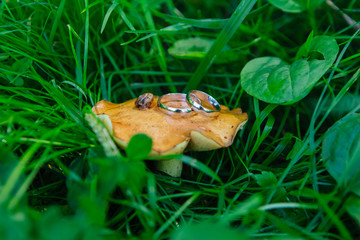Wedding rings with snail on the mushroom