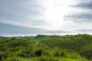 Landscape Gunung bagus, Wonosari, Yogyakarta, Indonesia