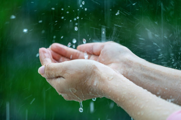 Close-up of wet female hands in rain