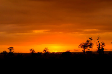 Fototapeta na wymiar Golden sunset in yogyakarta indonesia