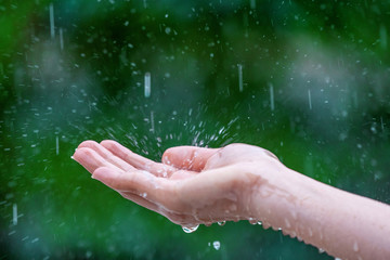 Fototapeta na wymiar Close-up of wet female hands in rain