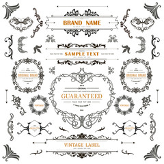 Vintage decorations curl elements.Classical calligraphic ornaments,frames,labels