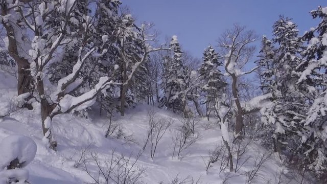 雪山の空撮 / 北海道のスキー場　ゴンドラから撮影