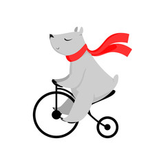 Cartoon bear in red scarf riding bike. Cute character, bicycle, activity. Animal concept. Can be used for topics like circus, show, sport