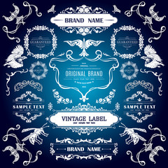 Set of Vintage Decorations Elements.Flourishes Calligraphic Ornaments and Frames