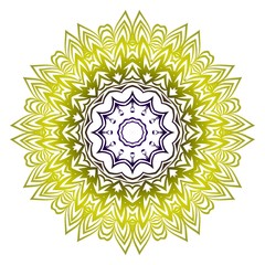 Indian floral mandala pattern.Vector Henna tattoo style. Can be used for textile, greeting card, coloring book, phone case print.