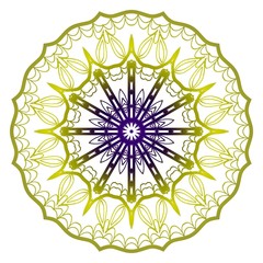 Round pattern flower mandala. circle floral ornament. Decorative illustration.
