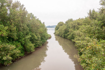 Panoramic view of a river mouth near the sea at the Campeche Beach, in Florianopolis, Brazil.