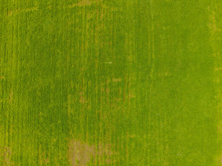 Obraz premium Field from altitude