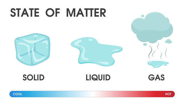 gasses or gases