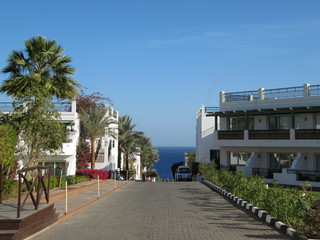 The road to the sea in the hotel with a beautiful view on a bright day.