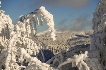 Fantastic winter mountain landscape glowing by sunlight