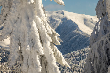 Fantastic winter mountain landscape glowing by sunlight