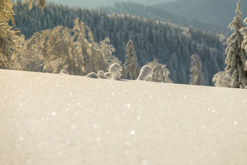 Fantastic winter mountain landscape glowing by sunlight