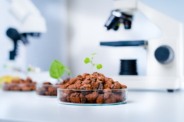 Modern Laboratory .Vegetables in hydroponics  tech picks