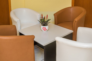 Four white and brown leather armchairs and coffee table with flower pot on the middle on the table.
