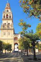 Obraz premium Mosque Cathedral Mezquita of Córdoba from the orange garden, Andalusia, Spain