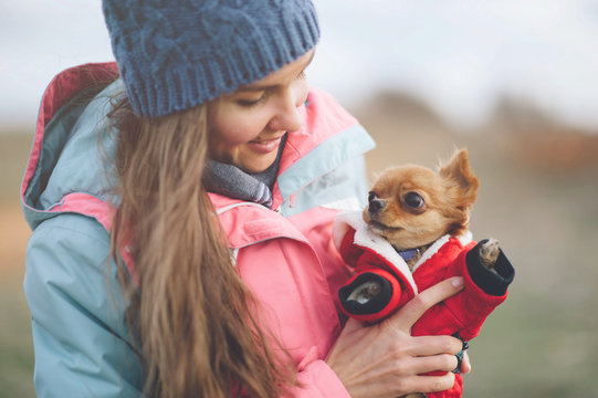 Happy Healthy Young Female With Little Chihuahua Puppy Pet Dog Wearing Clothes In Hands