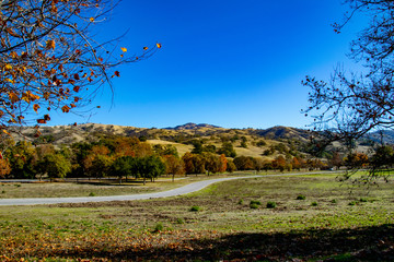 A Road Meanders Through Joseph D Grant County Park
