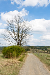 Dirt Road And Southern Eifel Landscape, Germany