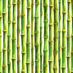 Bamboo stems seamless pattern on white background. Watercolor hand drawn green botanical illustration