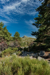 Fototapeta na wymiar Mountain range of Madrid.