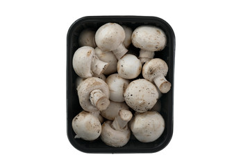 above view of mushrooms in packing isolated on white background