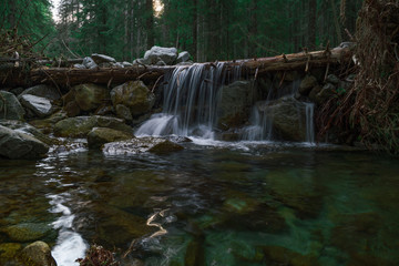 forest nature waterfall