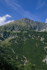 High mountain and green forest