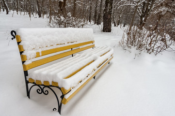 Bench in the winter park littered with snow