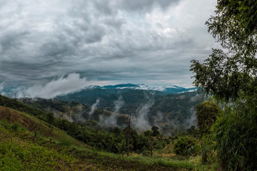 Fog and cloud mountain valley landscape, Thailand