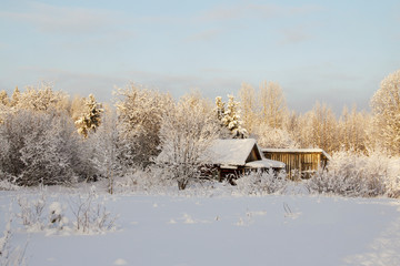 old wooden house in snowy forest in winter