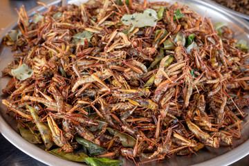 Fried grasshoppers at a market in Thailand.
