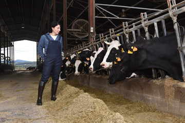 woman farmer working on a cow farm