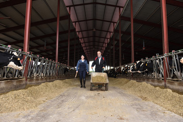 couple farmer with cows