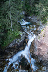 Big forest nature waterfall