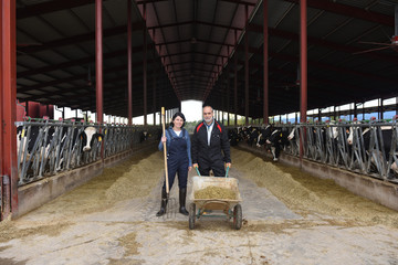 couple farmer with cows