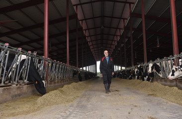 farmer with cows