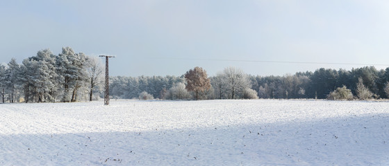 Neuschnee und Raureif