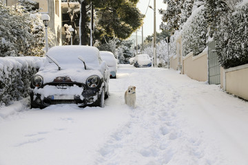 Beautiful winter morning snow covered streets of Athens, Greece, 8th of January 2019.