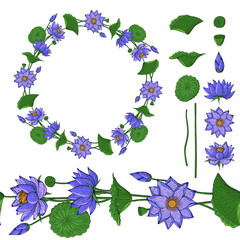 Wreath and seamless brush from lotus flower, botanical design elements