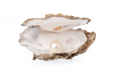 Open oyster with pearl isolated on white background